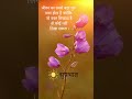 Good Morning Positive Suvichar Thought Quote Message Shorts Goodmorning Motivation