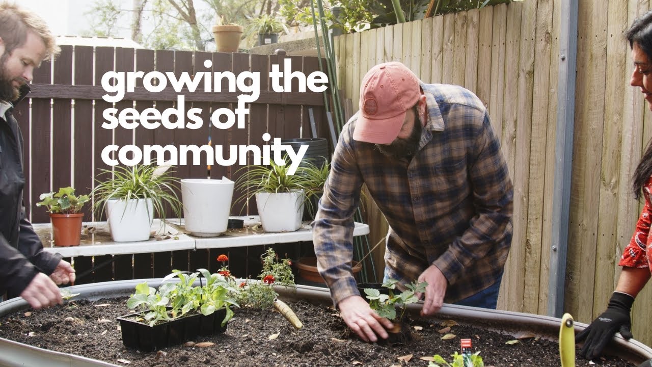 Growing the Seeds of Community