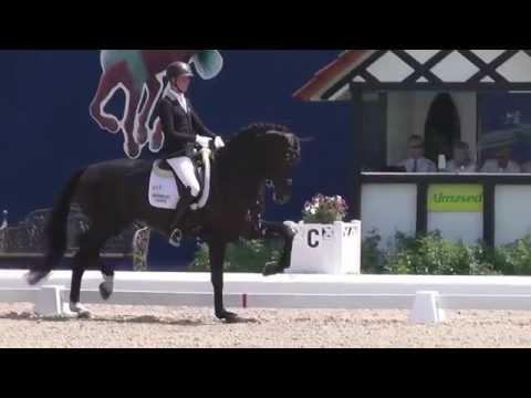 www.reitschule-sandbrink.de DAYTONA PLATINUM Qualifikation Bundeschampionat Hagen Dressage