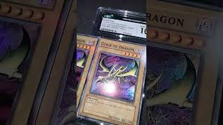 エラー glossy 遊戯王 カース・オブ・ドラゴン 金属のような光沢個体 初期  カース・オブ・ドラゴン　 #error #yugioh
