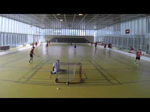 Floorball U21 Alligator Malans 2014/15