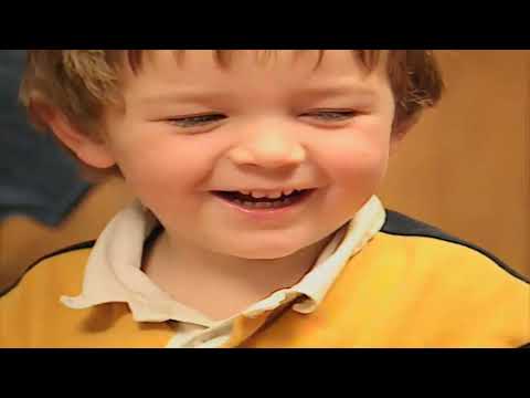 Teletubbies Series 6, Episode 12: Kittens