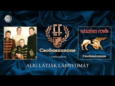 Egészséges Fejbőr - Csodaszarvas (Hivatalos szöveges video / Official lyric video)