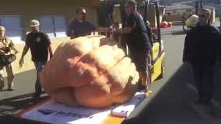 preview picture of video '2014 Half Moon Bay Great Pumpkin Weigh Off'