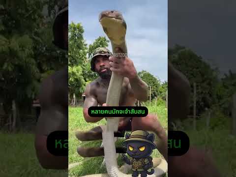 ขนลุกซู่! เผชิญหน้า 