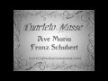 Cuarteto Masse - Ave Maria, F.Schubert 