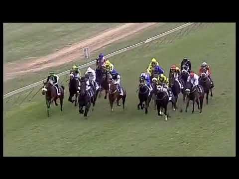 2018.05.26 Tsogo Sun Sprint (RSA) - Bold Respect