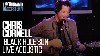 Chris Cornell “Black Hole Sun” on The Howard Stern Show