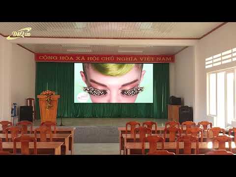 Video dự án