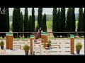 Caballo castrado Silla Franc&eacute;s En venta 2014 Bayo