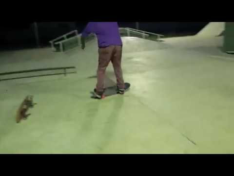 Linha de trick-Wygor