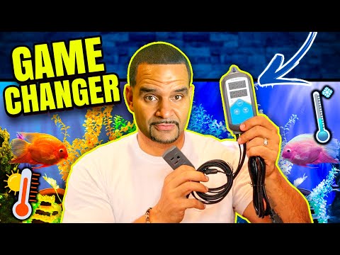 Aquarium Heater DEATH! Unless you have a Backup Plan.