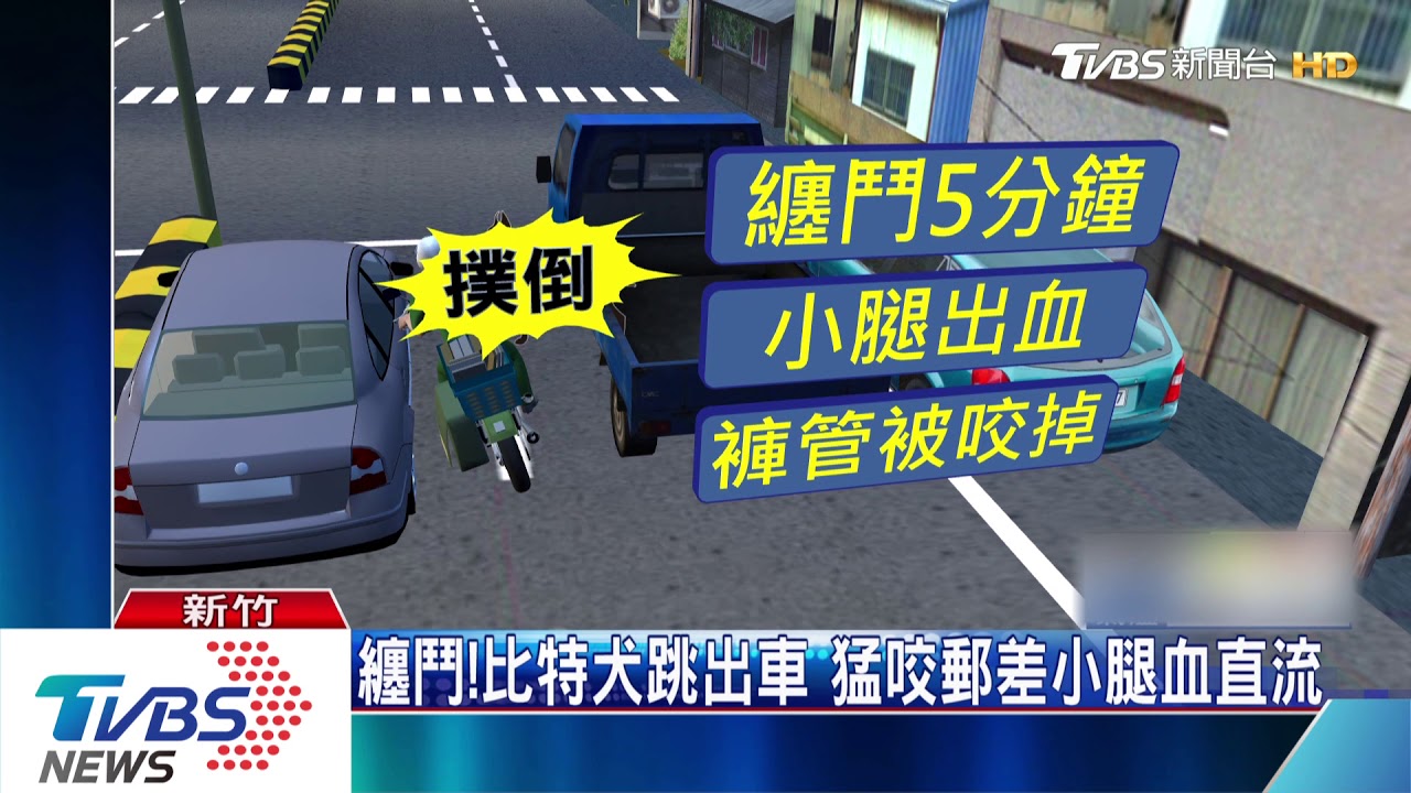 纏鬥!比特犬跳出車 猛咬郵差小腿血直流
