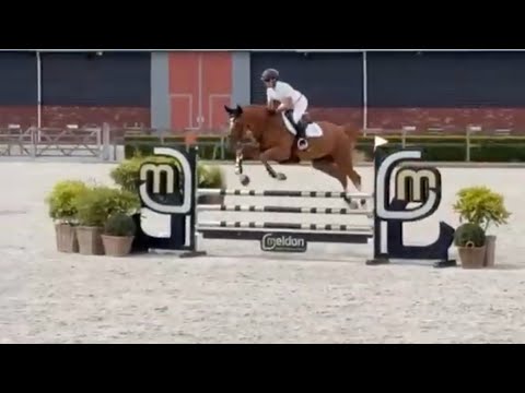 Ella’son Show | 1.25 GP Class with Jump Off