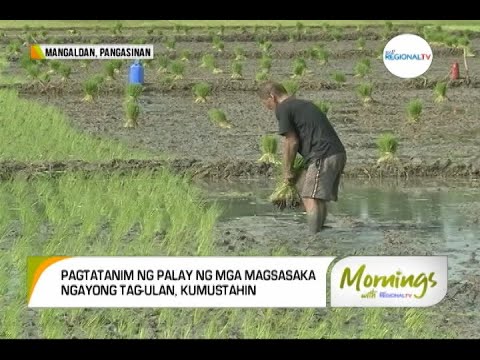 Mornings with GMA Regional TV: Pagtatanim sa Tag-ulan
