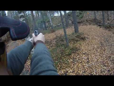 Ludvika After Storm Oct 2022 - Stage 4