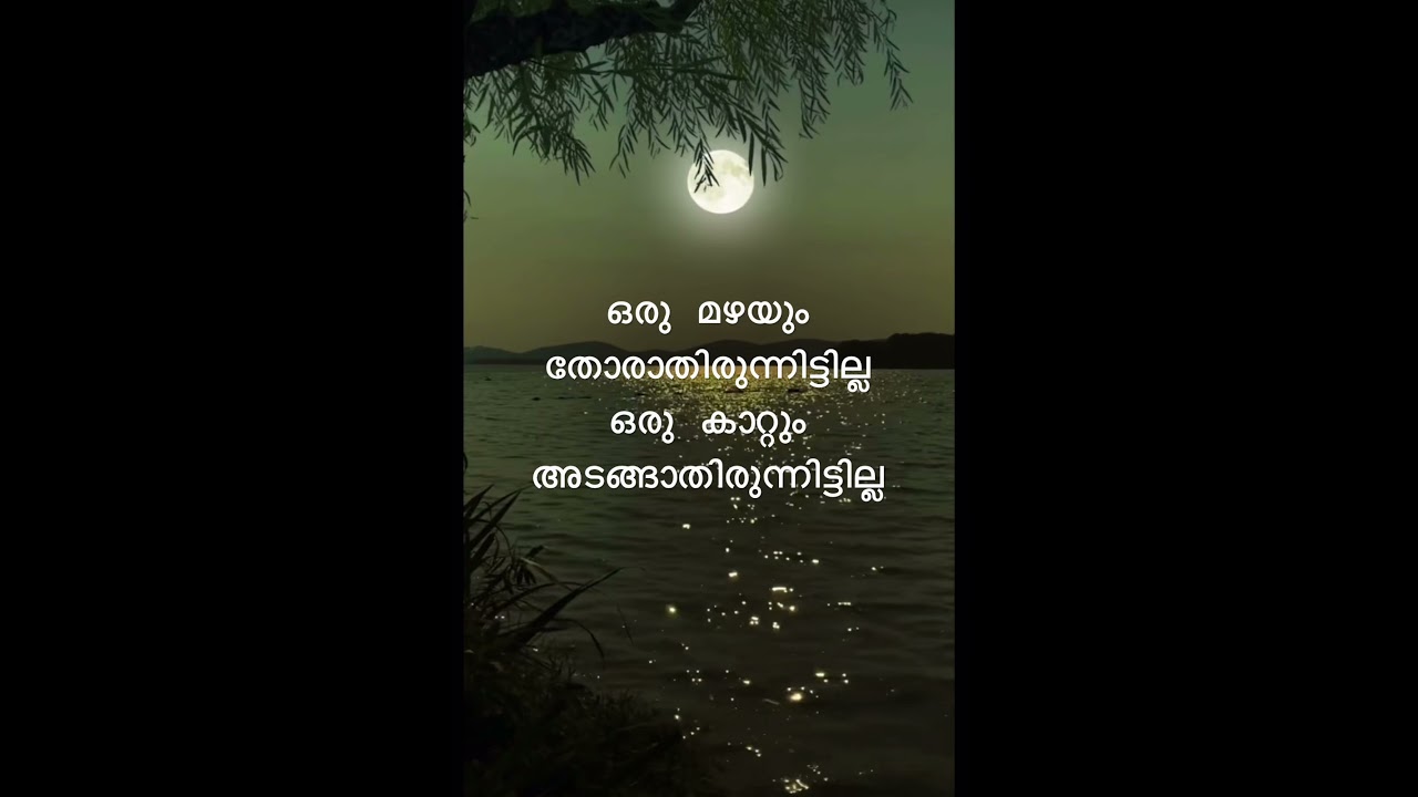 ഒരു മഴയും തോരാതിരുന്നിട്ടില്ല..!