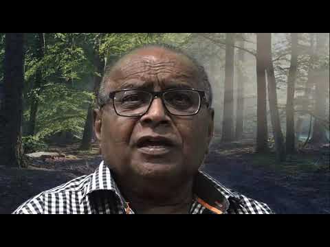 Witness21 Editor  2025 05 17