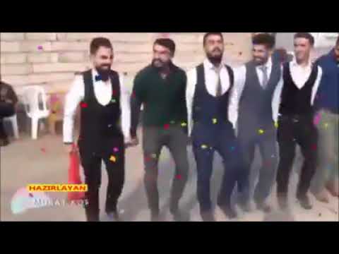 TEKİN BOZKURD - LORE (ŞEVKO) 2019