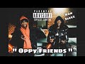 Oppy Friends🫣