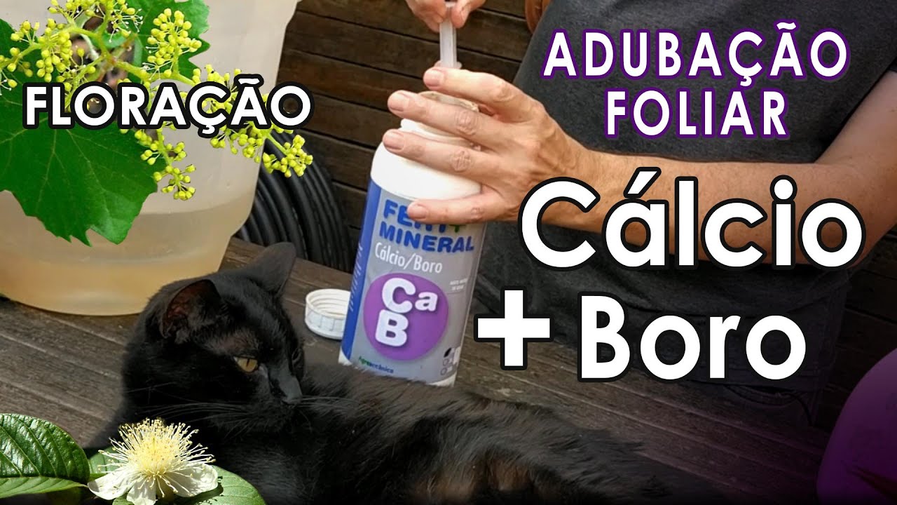 Adubação Foliar com Cálcio e Boro para Floração de Videiras, Frutíferas e Orquídeas