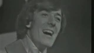 The Hollies - Have You Ever Loved Somebody
