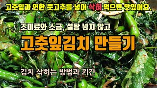 고춧잎김치 담그는법 고추잎과 연한 풋고추를 조미료와 소금 설탕을 넣지 않고 만드는 방법 어머님표 추억의김치 …