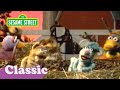 Barn In The USA Song Bruce Springsteen Parody Sesame Street Classic