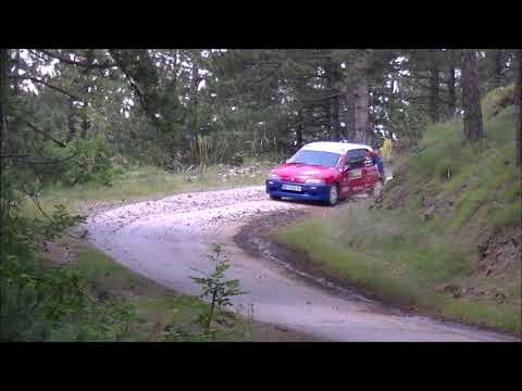 Predrag Stefanovic / Aleksandar Stanic - Rally Zlatibor Gold Gondola 2020 - Peugeot 106 1.3 rallye
