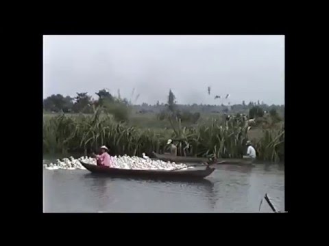 Thể hiện bởi Hương Lan