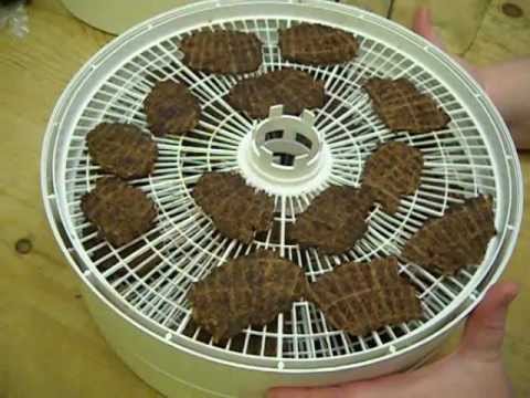 How to Make Beef Jerky