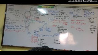 35) Dr. Wael Salah op. neuritis,op. atrophy,trauma 1