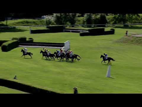 4. dostih - Cena Registany - dostihy Pardubice 8. 6. 2019