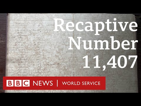 11407