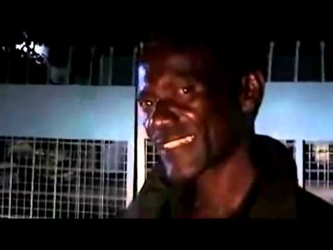 Darwin's Nightmare - fragment