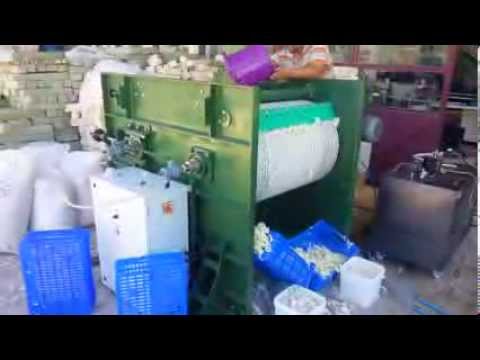 Chill rolls drum flaker