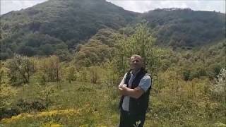 Pamuk Tarla Mp3 Indir