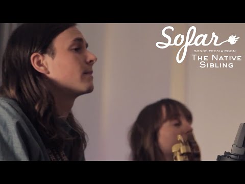 Darkest Of Night Skies - The Native Sibling