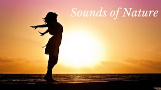 Acalmar a Mente: Msica ideal para relaxar (relaxa mesmo)