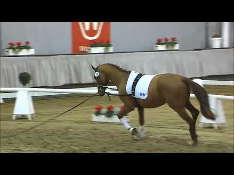 14 First Avenger v. Finnigan / Imperio/T.