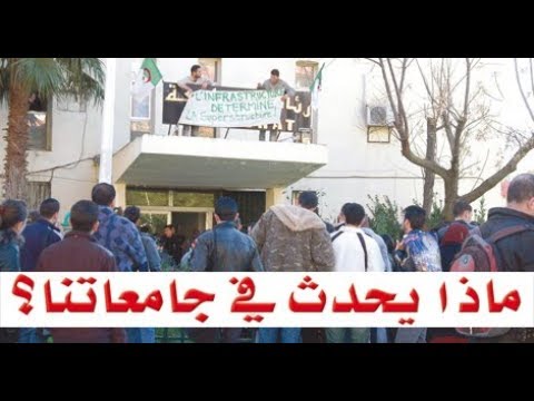 خريجو الجامعات في مفترق الطرق