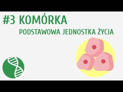 Komórka - podstawowa jednostka życia #3 [ Organizacja i chemizm życia ]