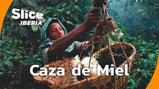 Thumbnail del capítulo