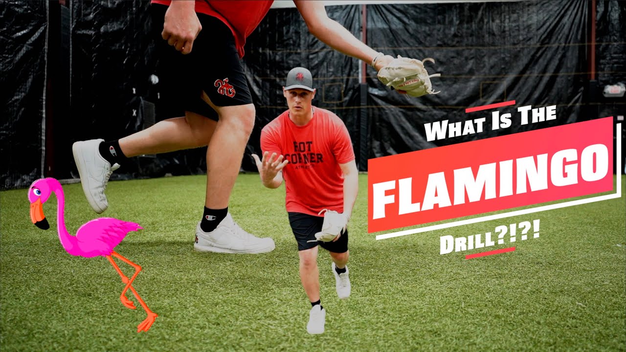 Ever Seen The FLAMINGO fielding drill?!?! Hot Corner Athletics Owner Explains.