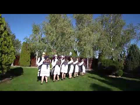 Aurel Mascovici - Viata Viata Anii Mei