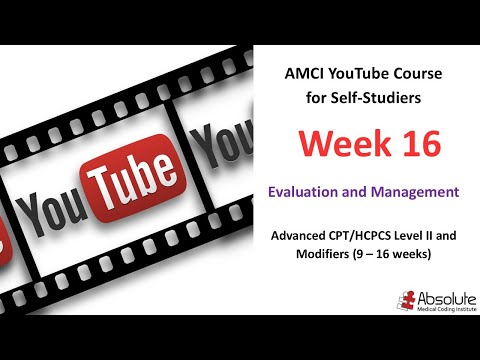 Evaluation & Management (E/M) Coding Explained | by AMCI