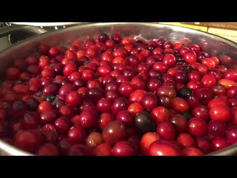 download lagu mp3 mp4 Cranberry Tea, download lagu Cranberry Tea gratis, unduh video klip Cranberry Tea