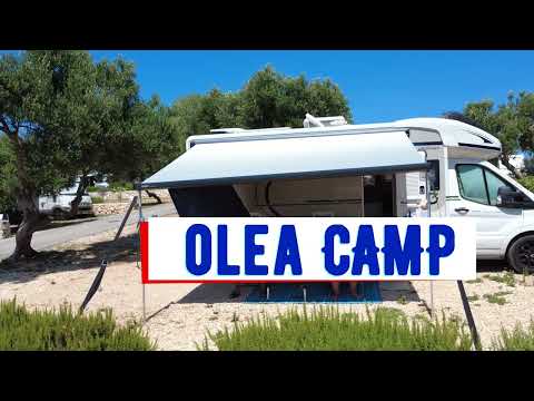Olea Camp Pag Chorwacja
