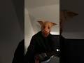 John Pork Was Hiding Under My Bed Shorts Johnpork Psychopath Scary