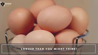 How long do Farm Fresh Eggs Last [and How Best to Store Them!]